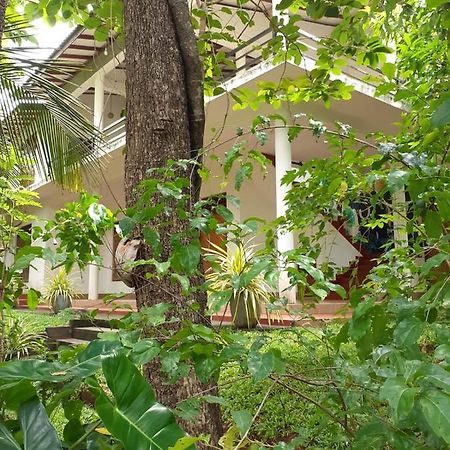 Yonara Green Rest هاباران المظهر الخارجي الصورة