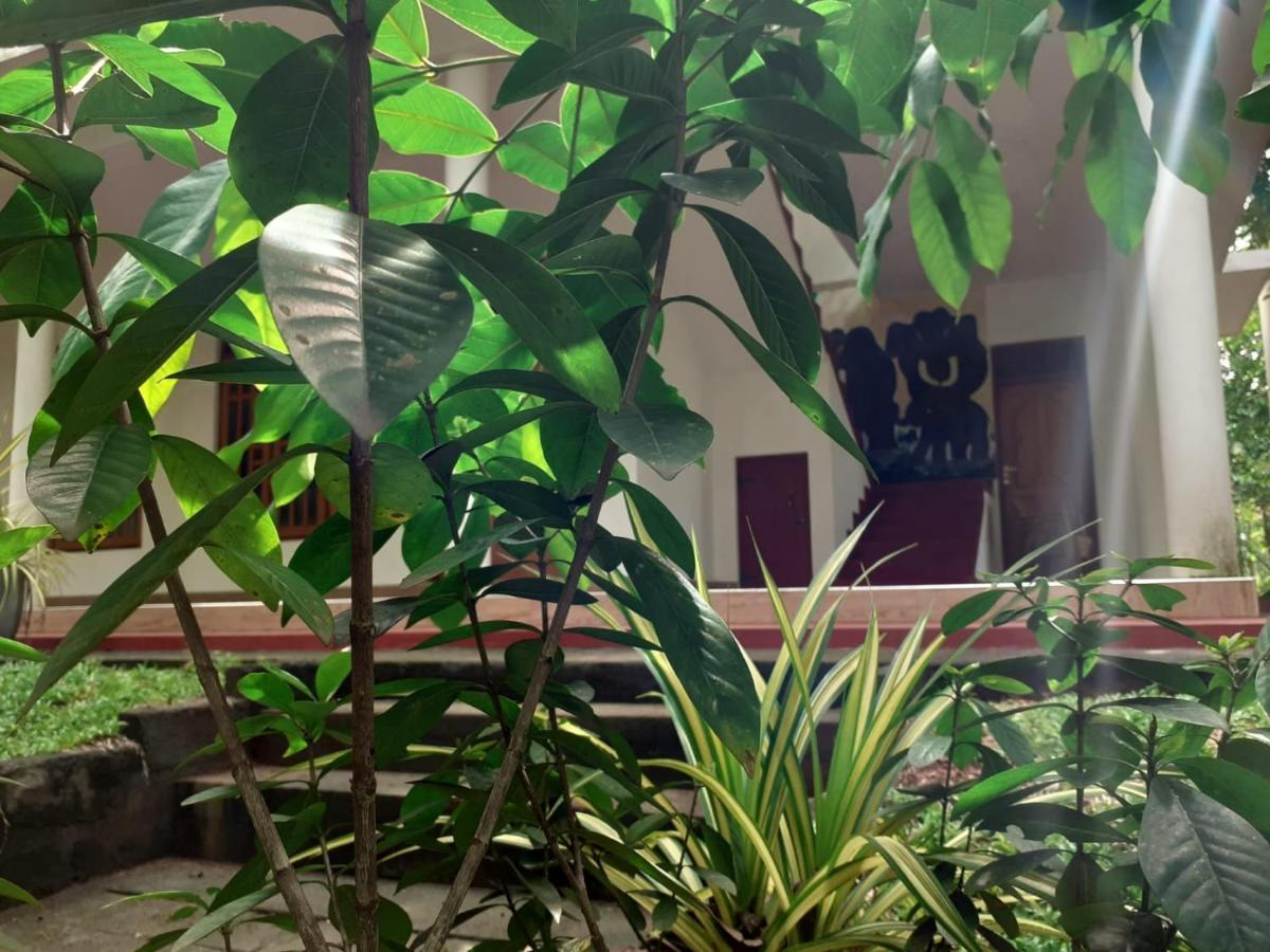 Yonara Green Rest هاباران المظهر الخارجي الصورة