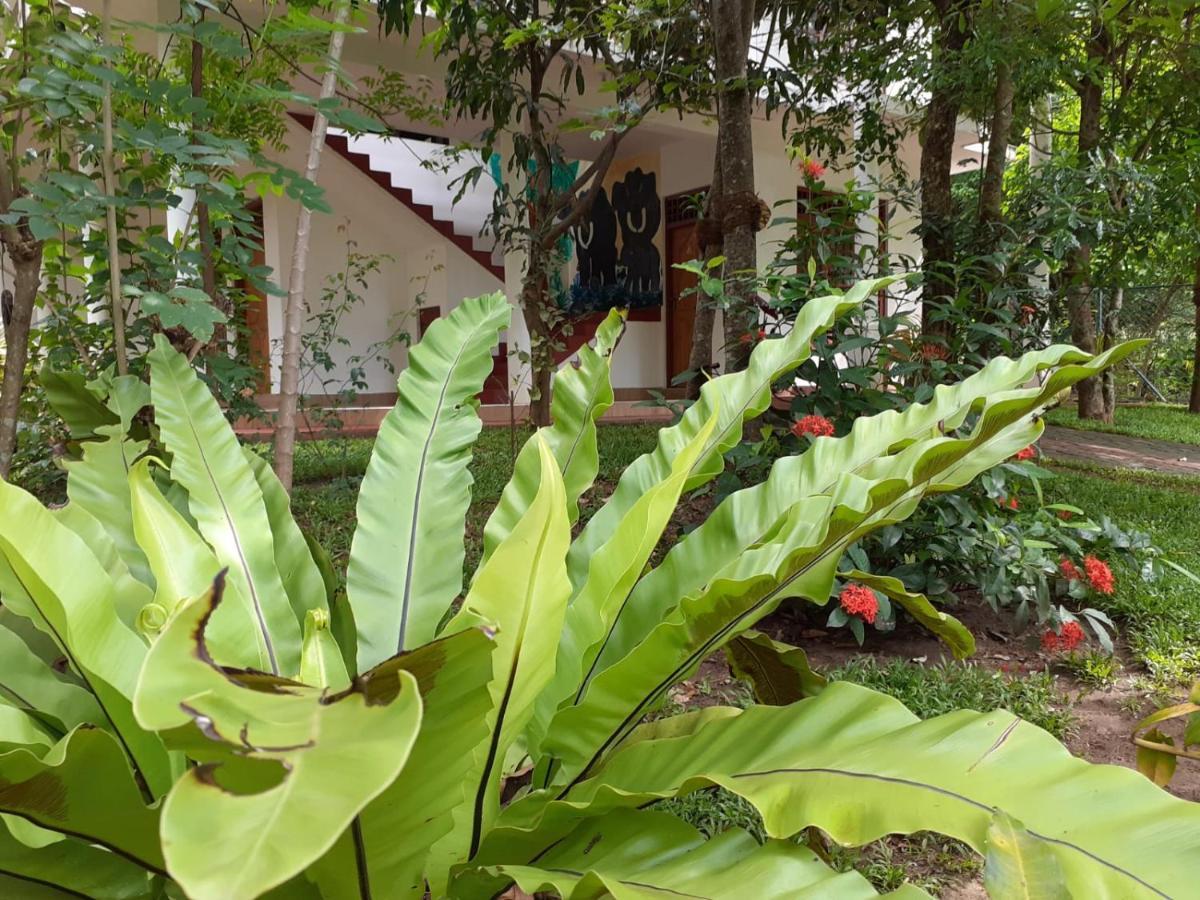 Yonara Green Rest هاباران المظهر الخارجي الصورة