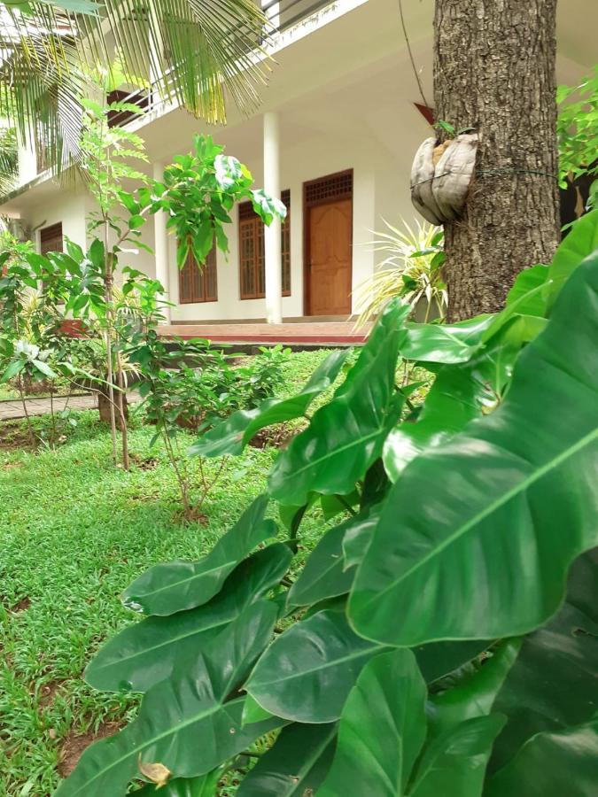 Yonara Green Rest هاباران المظهر الخارجي الصورة